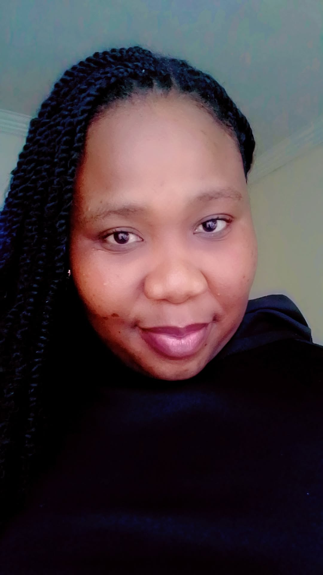 N - eBakkie driver